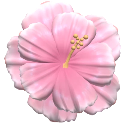 ♡ summer tropical flower pink