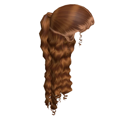 𝓖 Caramel Half Up Half Down Slicked Back Ponytail