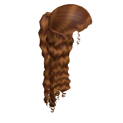 𝓖 Caramel Half Up Half Down Slicked Back Ponytail