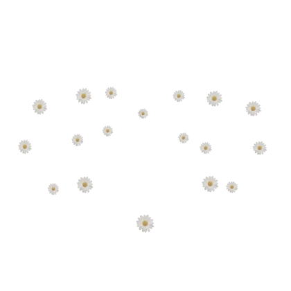 daisy flower aura