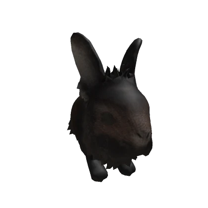 Foofy the Rabbit