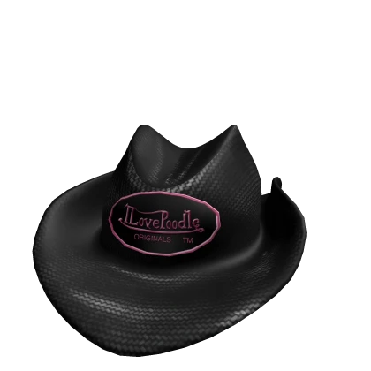 Glamorous Cowboy Hat | Black & Pink 