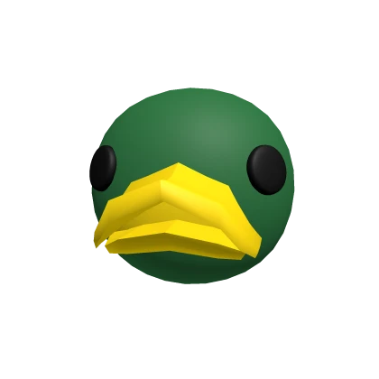 Mallard Duck