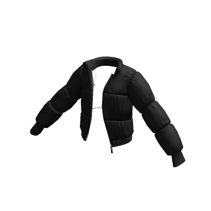 Black Puffer Jacket 