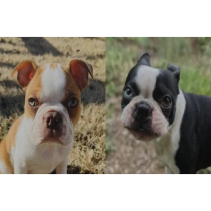 Kojak + Khujo