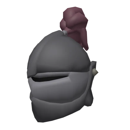 Knight's Helmet