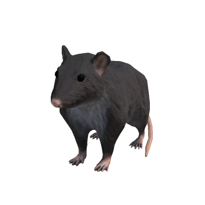 Mouse Rat Suit