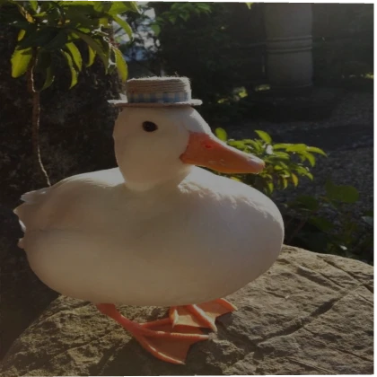 👒Quackiti 🦆 