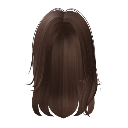 brown long blowout hair