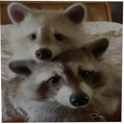 🦝Lacuns🦝 Code: Lacuns