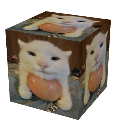 The BIGGEST Box Of Apple Cat