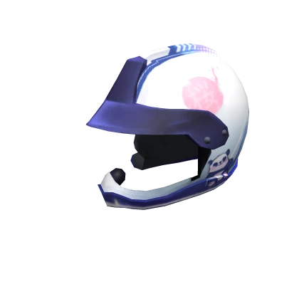 DW Rally Helmet