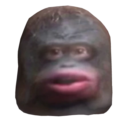 Big Monkey Hat