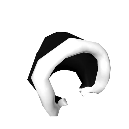 Black and White Winter Coat Hood