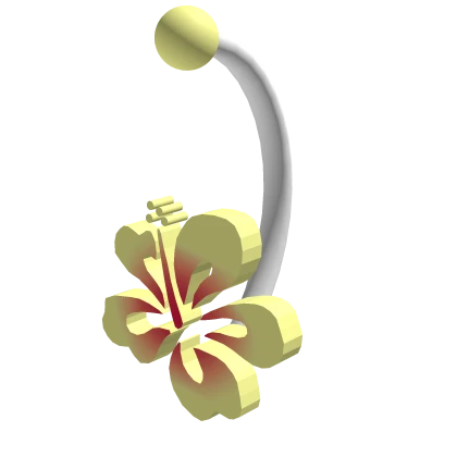 Hibiscus Piercing In Sunset