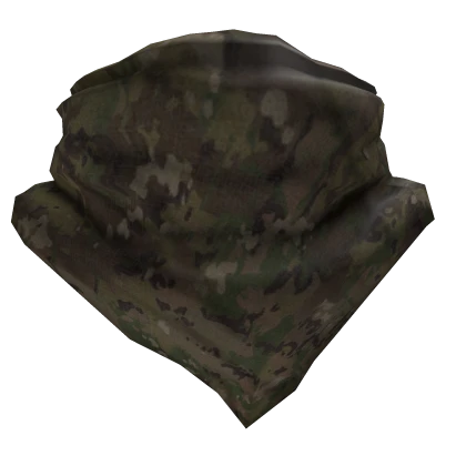 Multicam Buff / Balaclava