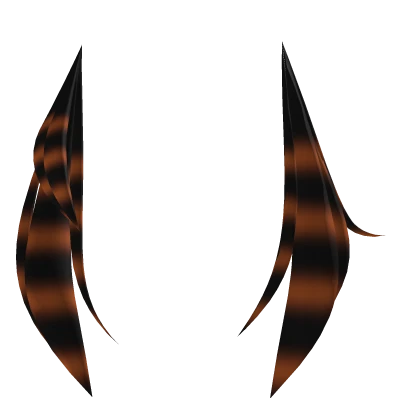 Asymmetrical black & orange raccoon tails
