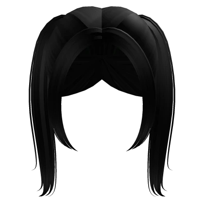 Cute Trendy Pigtails in Black