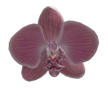 Pink Orchid Summer Clip Flower 