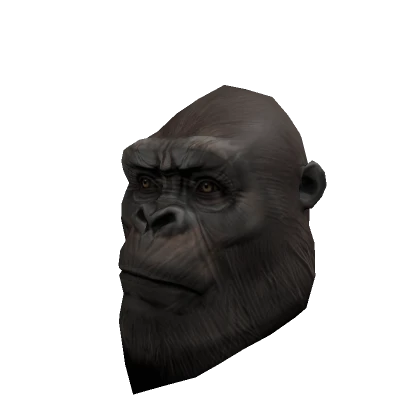 Kong 