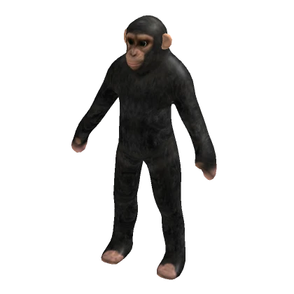 Ape Suit