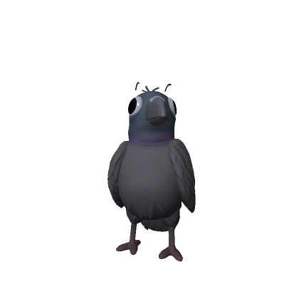Traumatized dumb Pigeon