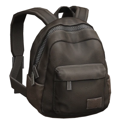 (3.0) Generic Brown Backpack