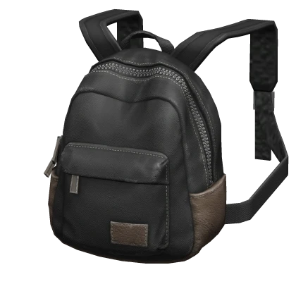 (1.0) Generic Black Backpack