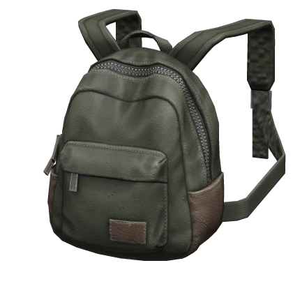 (1.0) Generic Backpack