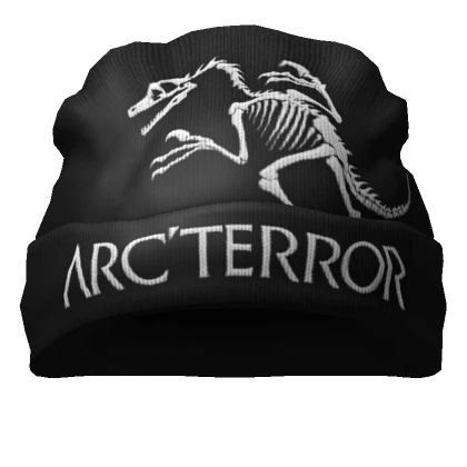 🦇Black Y2K Gorpcore Hiking Arc'terror Beanie🦇