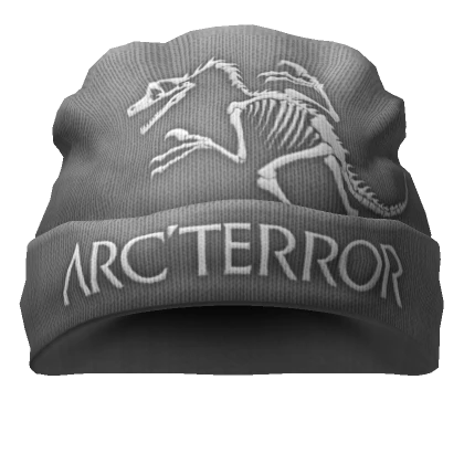 🐨Y2K Grey Gorpcore Hiking Arc'terror Beanie🐨