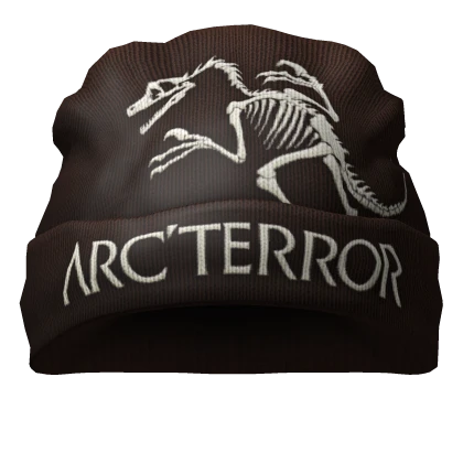 🐻Brown Y2K Gorpcore Hiking Arc'terror Beanie🐻