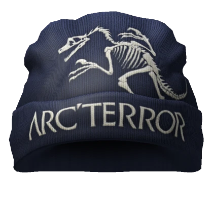 🌌Navy Blue Y2K Gorpcore Hiking Arc'terror Beanie