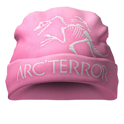 🌸Pink Y2K Gorpcore Hiking Arc'terror Beanie🌸