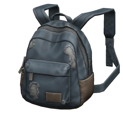 (1.0) Generic Denim Backpack