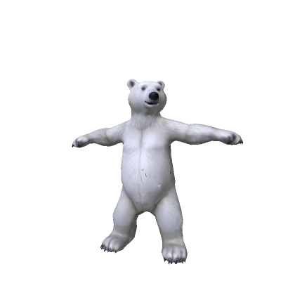 Standing Polar Bear 🐻‍❄️ Funny Meme Troll Animal