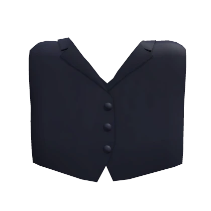 Navy Blue Suit Vest