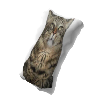 Alexander Pillow