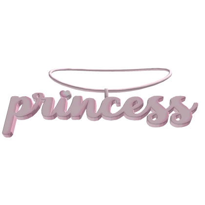 ♡˚ princess in pink