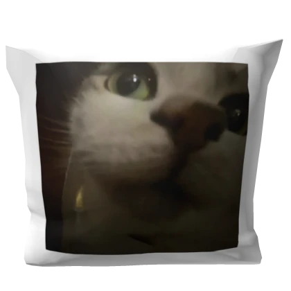 Pillow with a cute cat 