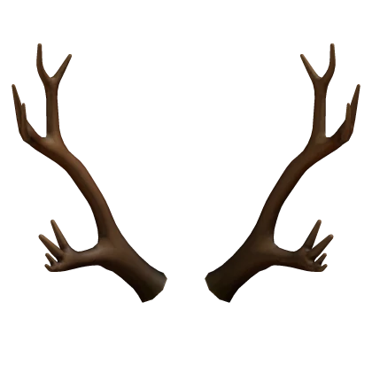Wooden Antlers