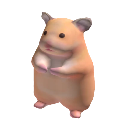 Hamster