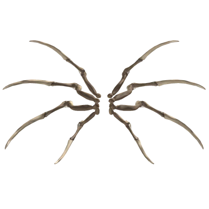 Skeleton Spider Legs