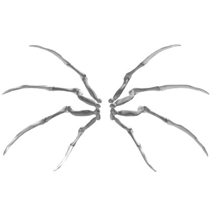 White Skeleton Spider Legs