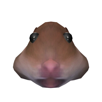 Staring Hamster Meme Hat