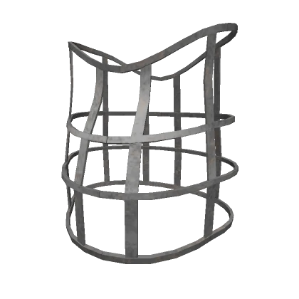 Endoskeleton Body Cage