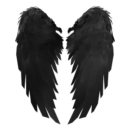 Black Wings