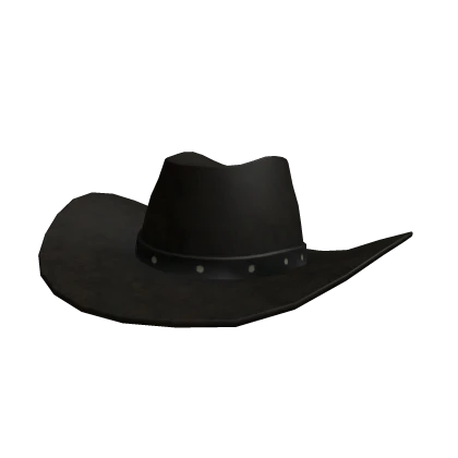 Cowboy Hat