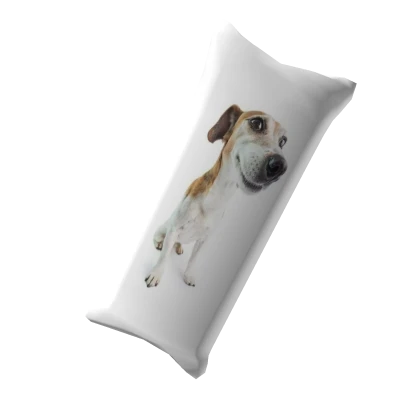 [⏰]Meme Dog Pillow