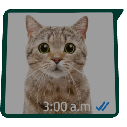 Text Message 3 A.M. Typical 